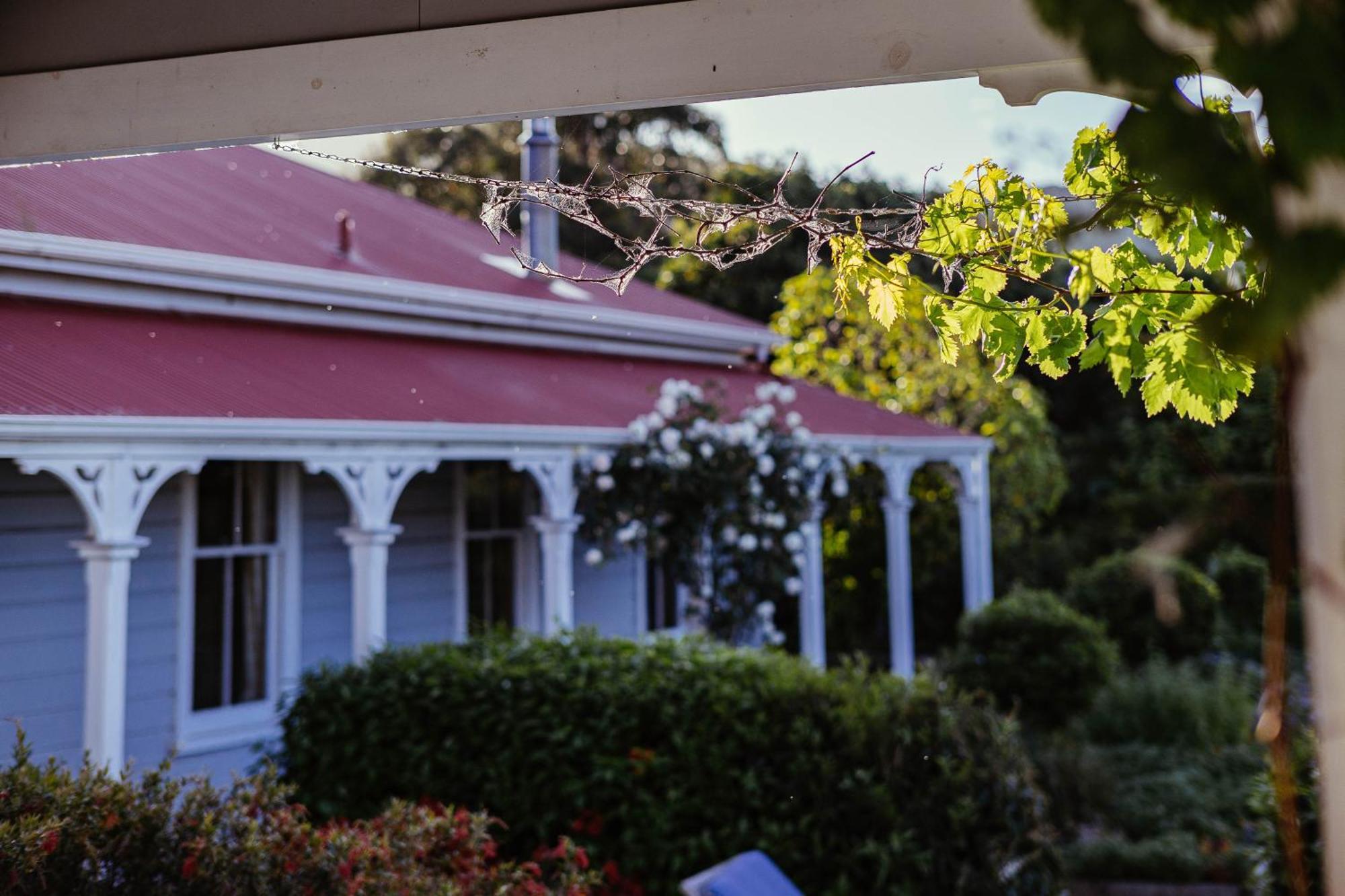 Cape South Estate - International Award-Winning Country Estate With Pacific Views Havelock North Exterior foto